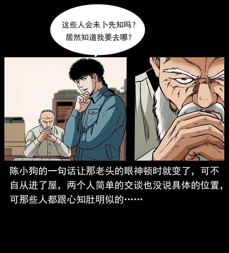 316 大漠归客45