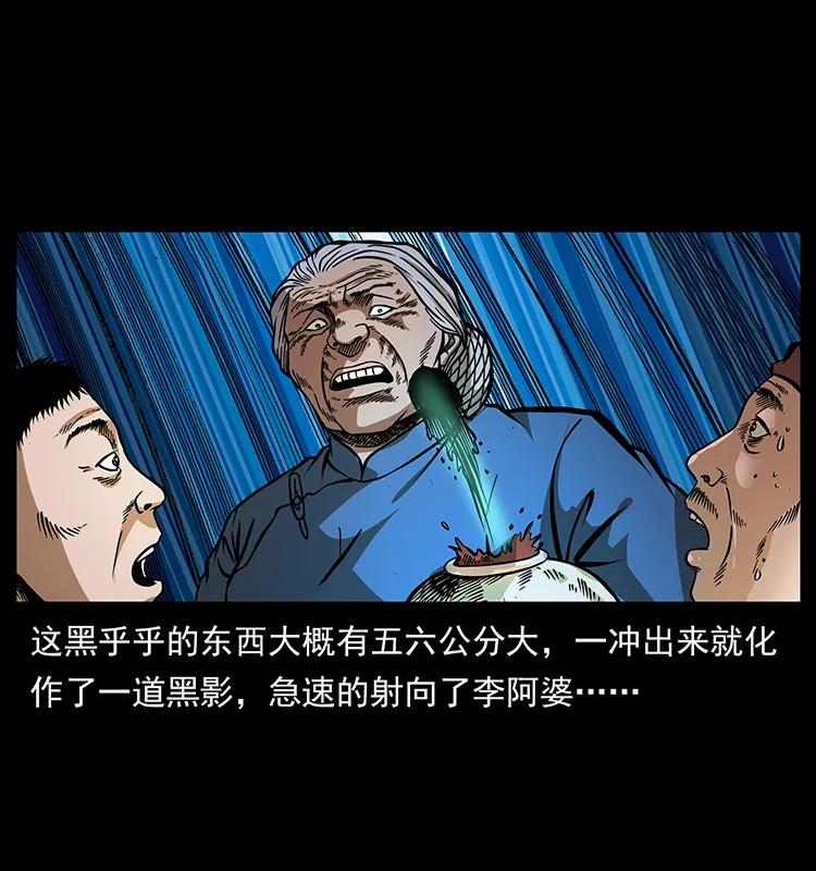 160 李老太太45