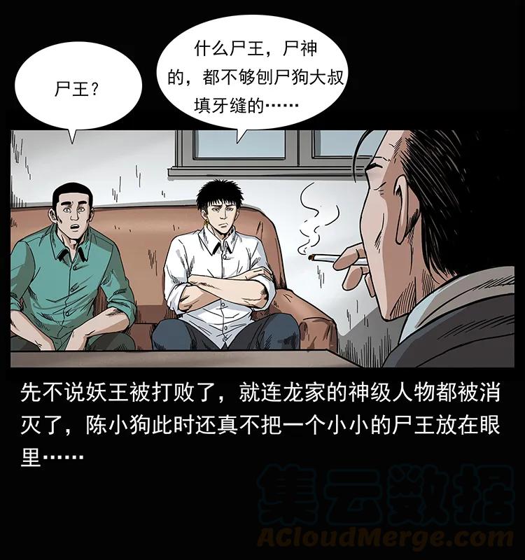 207 尸王！28