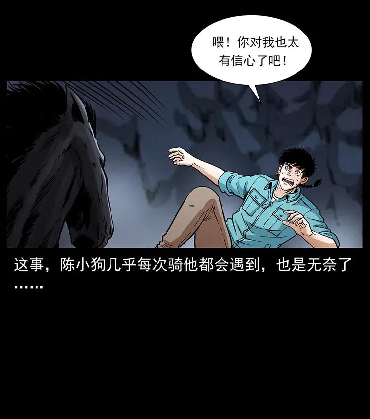 370 乌翅凤凰23