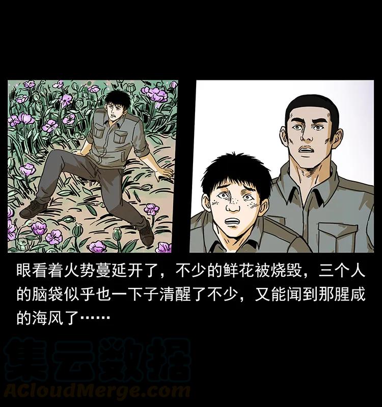 236 神秘的小岛72