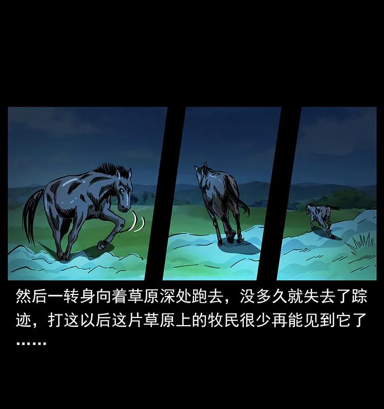 159 草原杀阵5