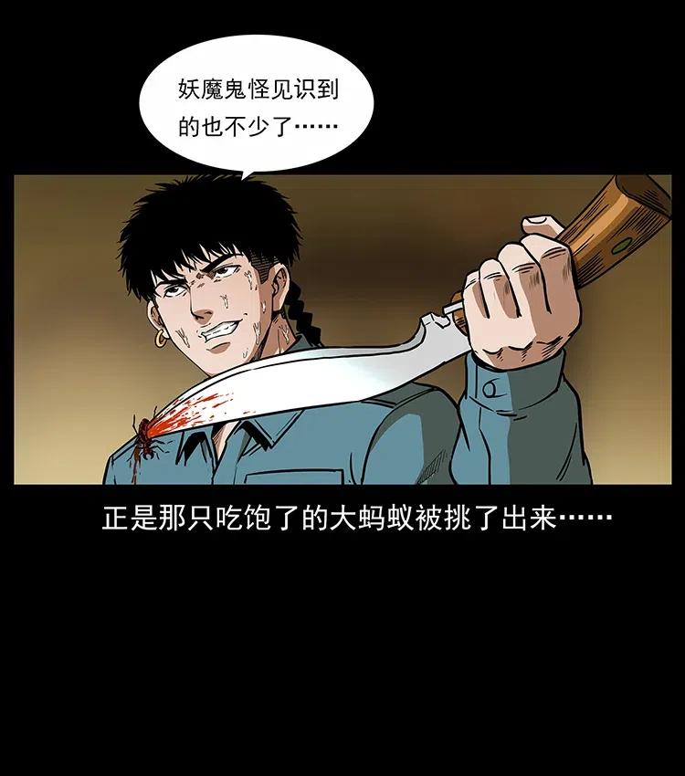 317 大漠凶兽42