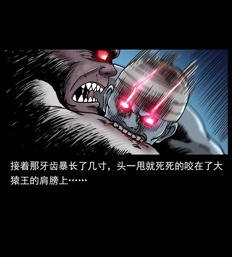 314 湘西斗尸77