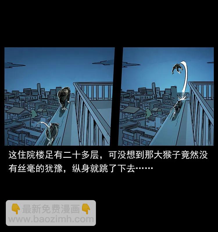 228 凶兽85