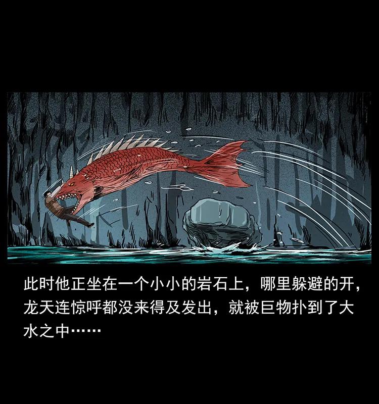 204 回家！55