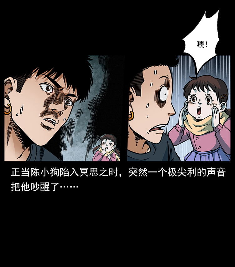 482 以树为启点77