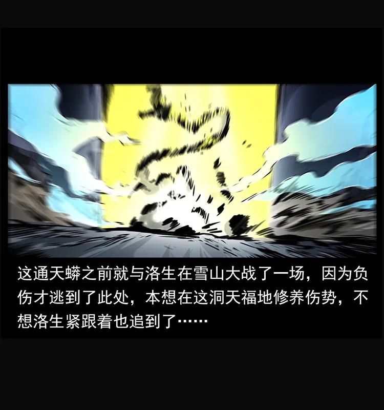 264 抚仙之战2