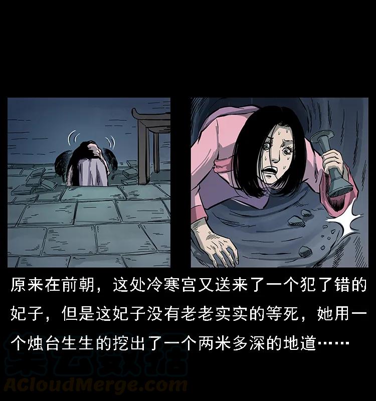 086 冷寒宫冤魂44