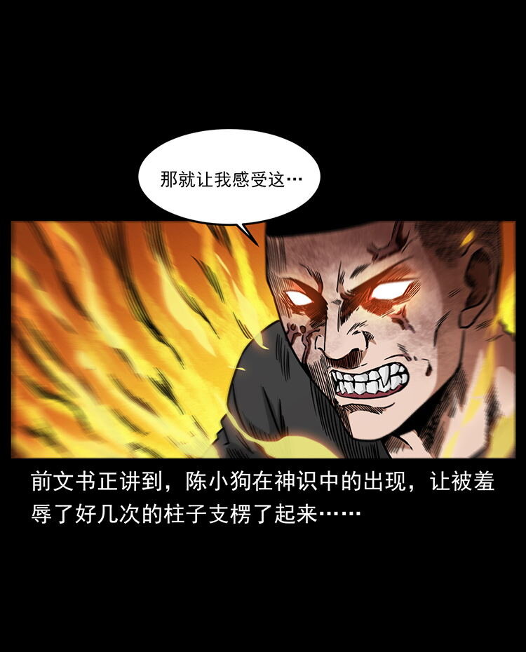 486 人与狐1