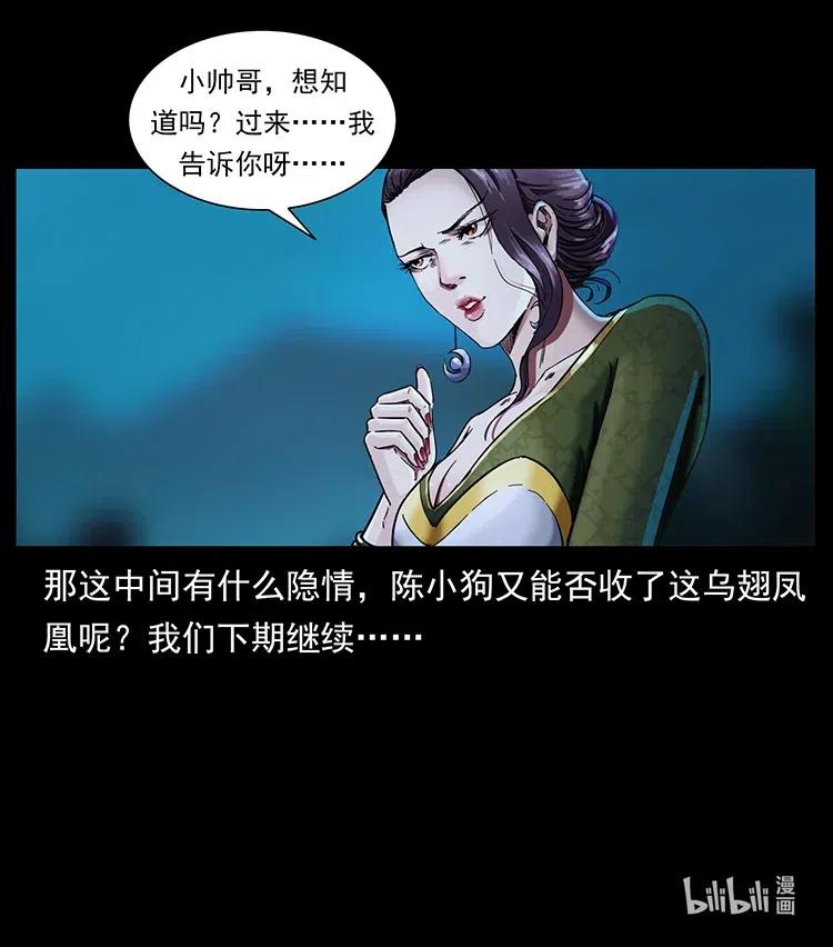 370 乌翅凤凰82