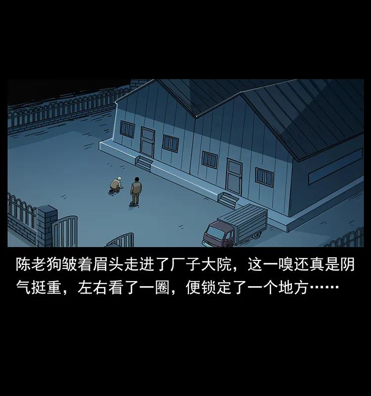 230 生桩49