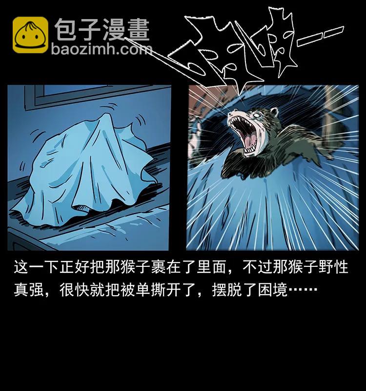 228 凶兽67
