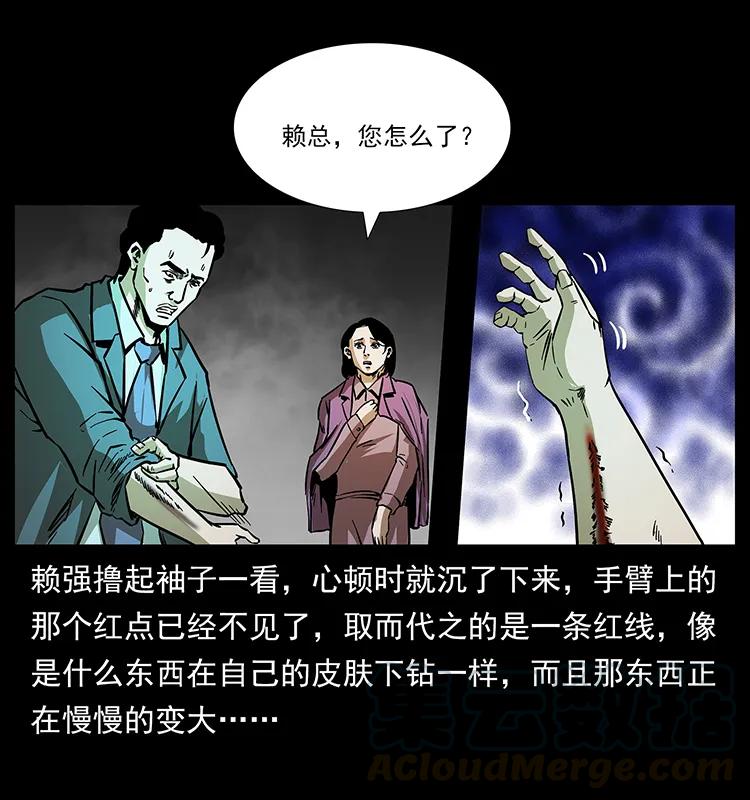 163 陈老狗下南疆72