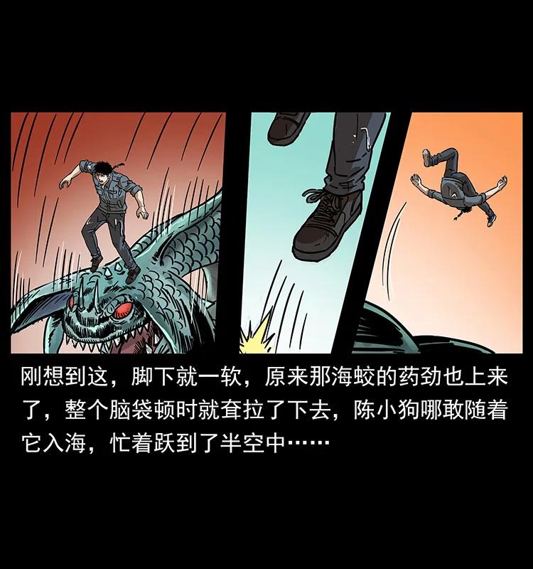 242 陈小狗失算了7