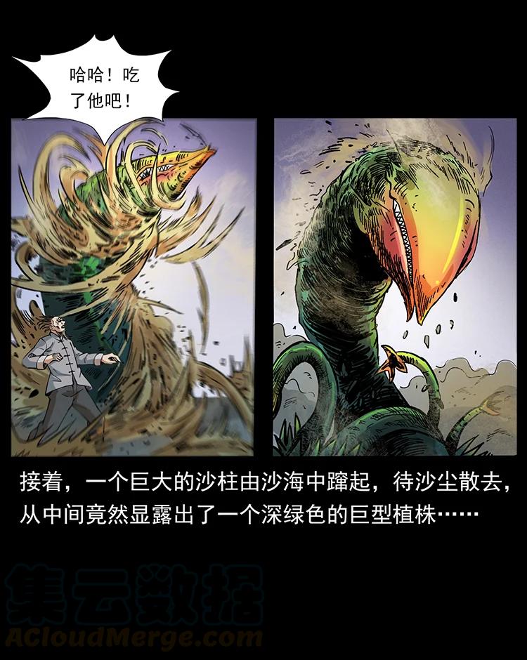 390 斩草除根21