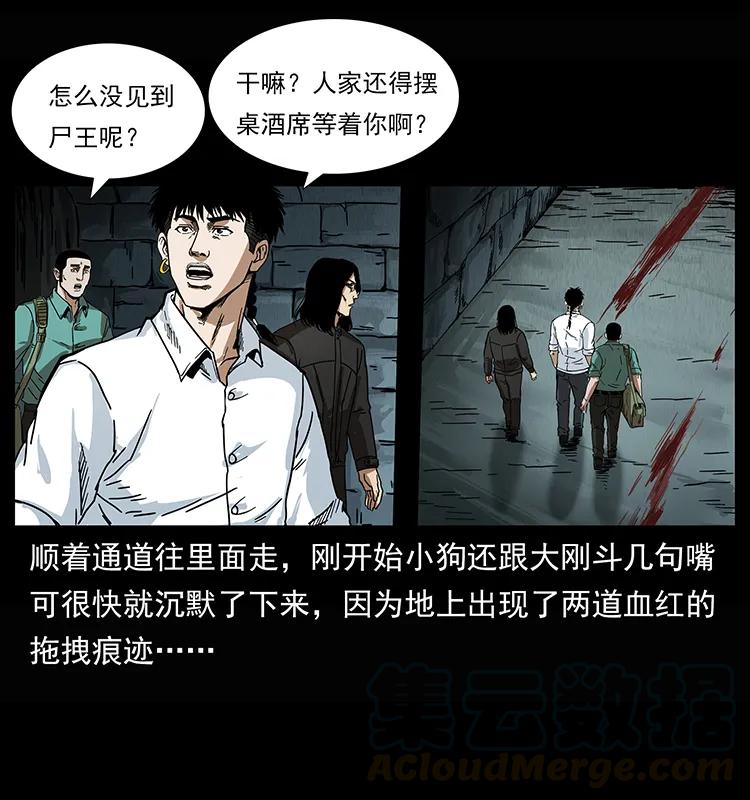 208 哪来的尸王20