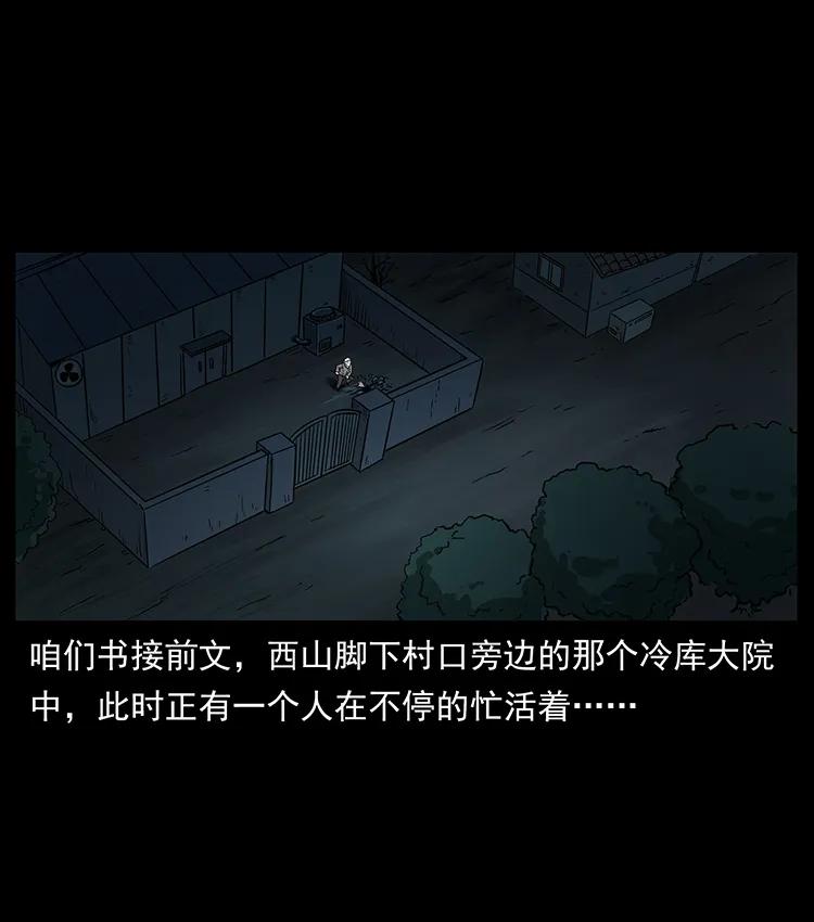 251 刨尸狗遇险1