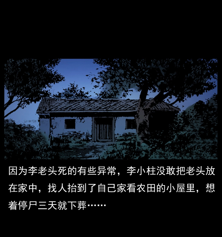 041 雷击尸237