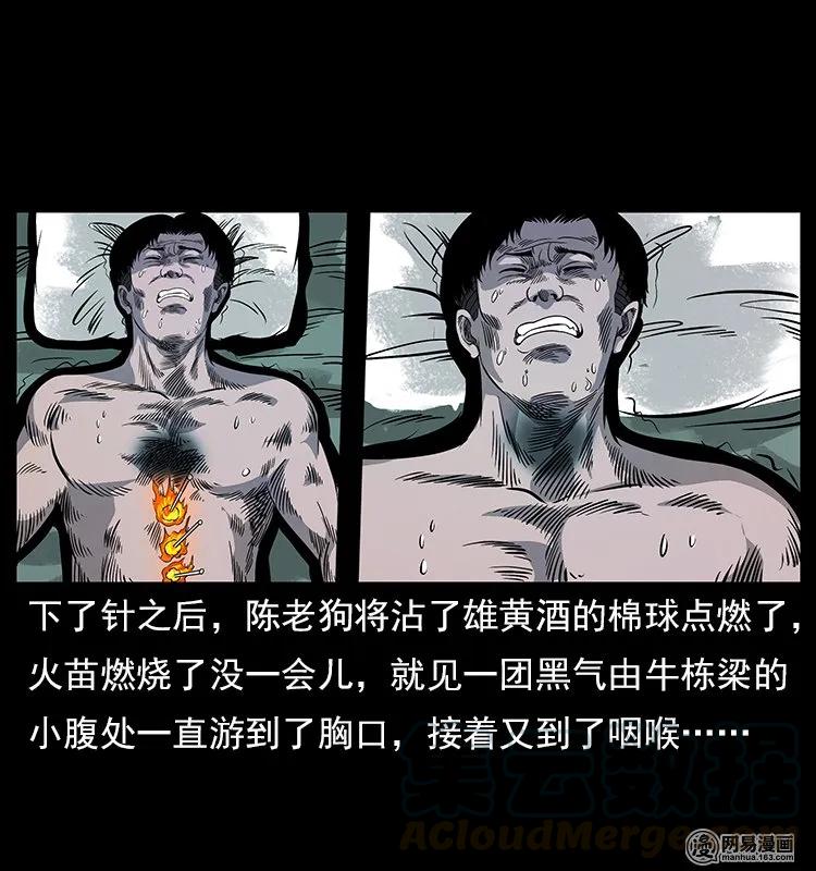 119 殃56