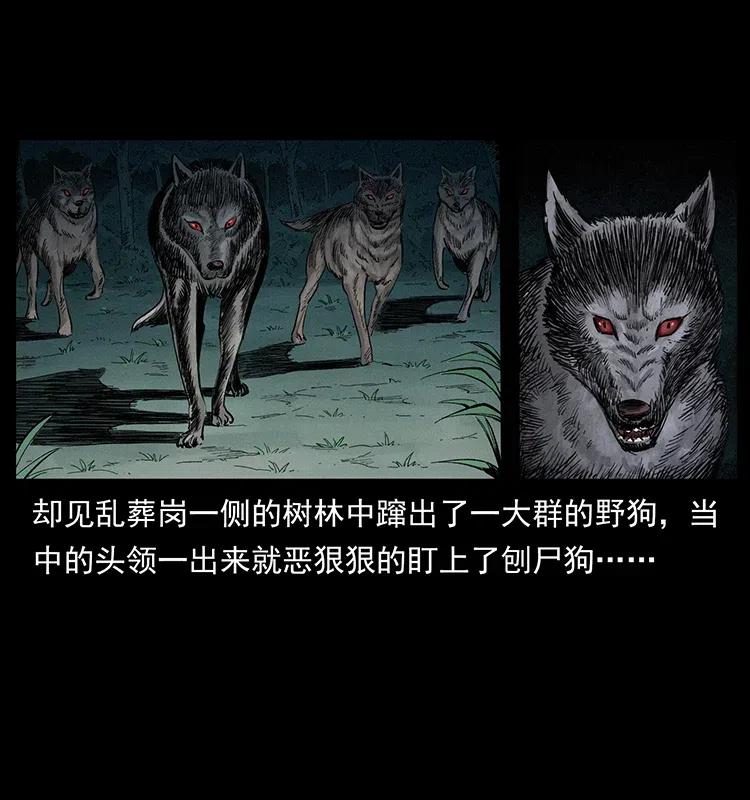 344 刨尸狗&amp;amp;amp;大冥皇5