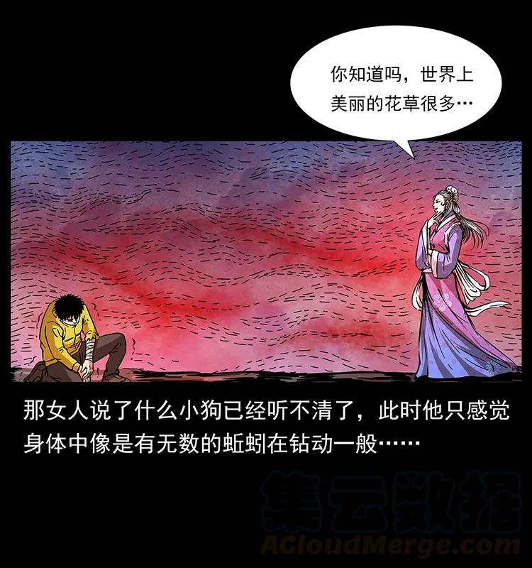 192 龙家的废材80