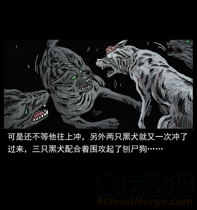 252 危机！危机60