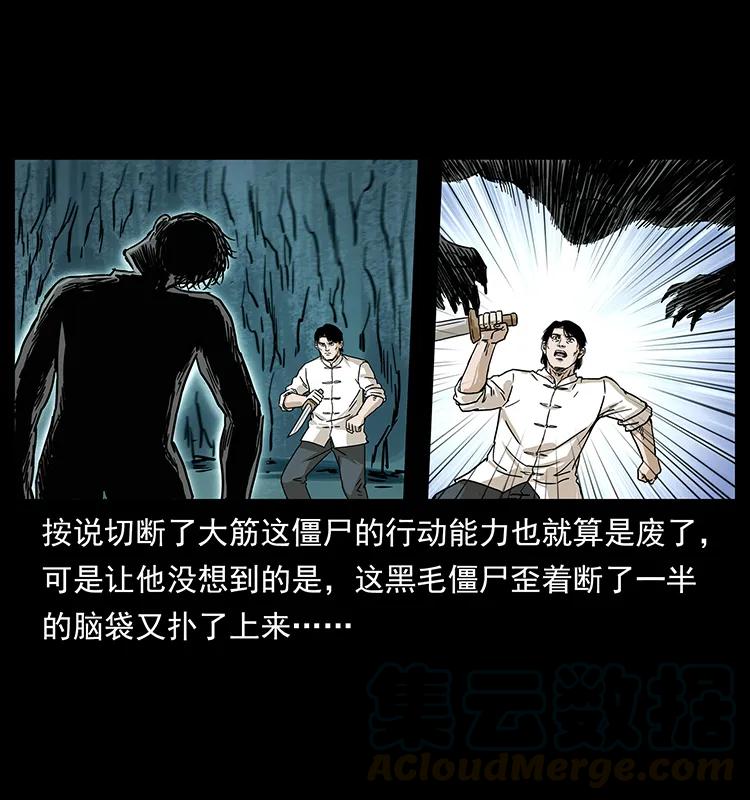 231 东海木龙24