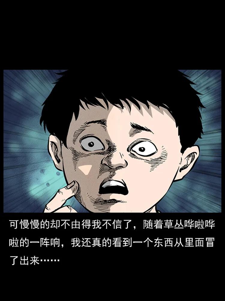 番外2 之保家白仙14
