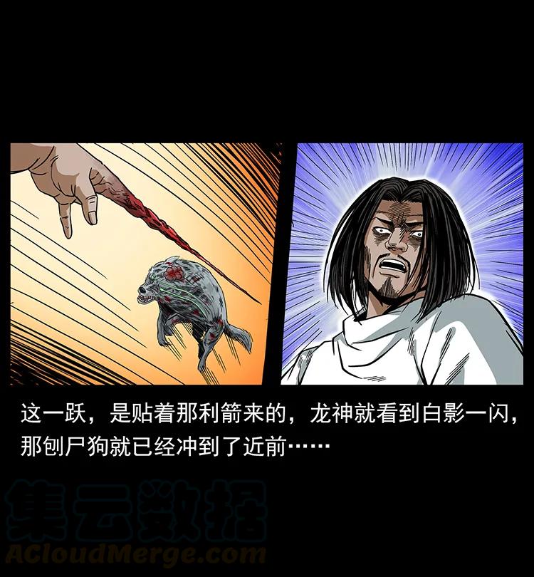 197 神之眼72
