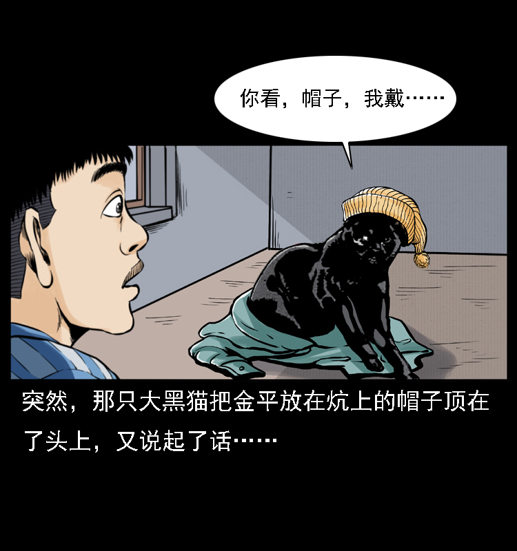 003 赵家的猫41