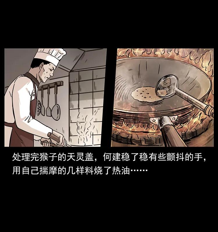228 凶兽21