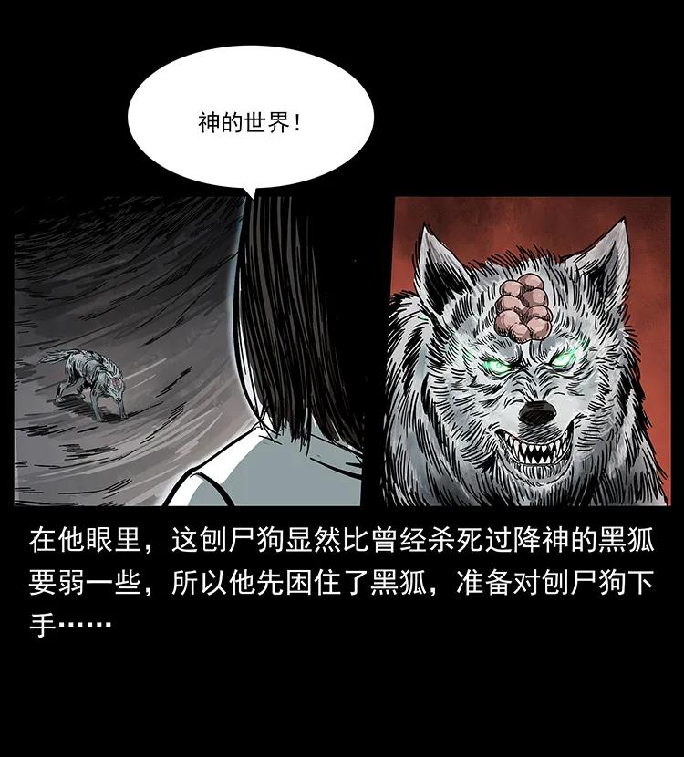 197 神之眼53
