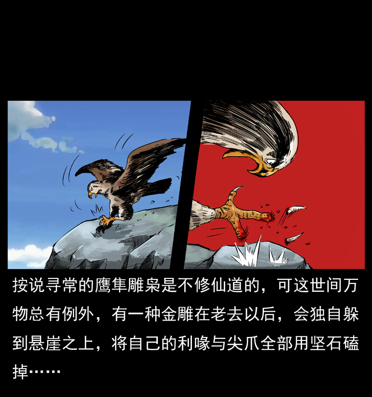 049 刨尸狗传奇211
