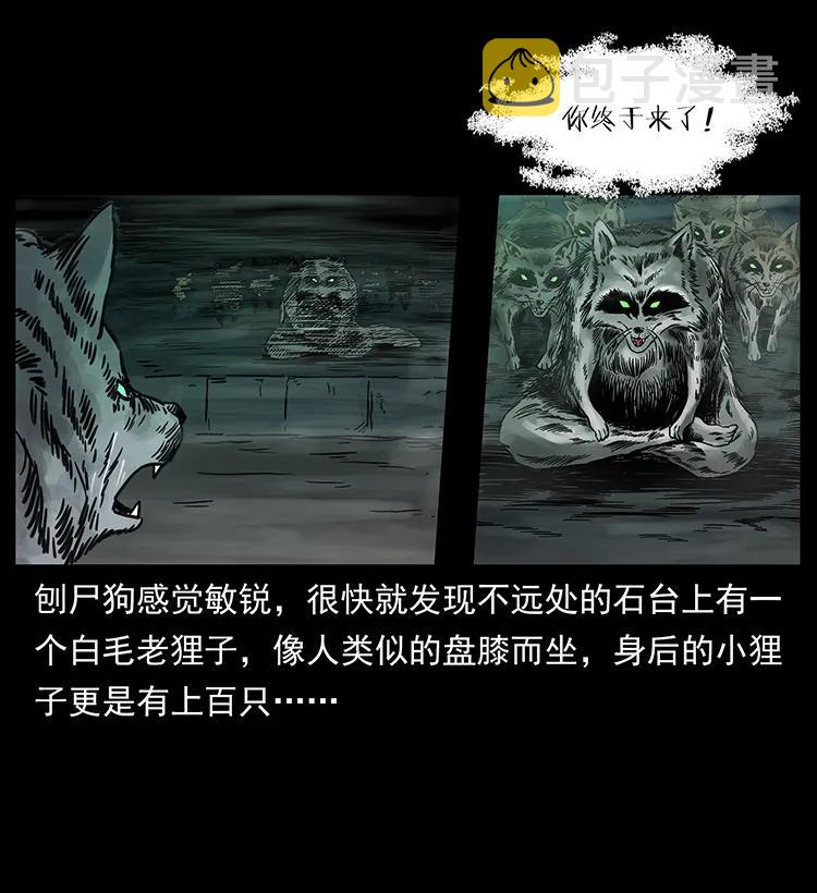 251 刨尸狗遇险67