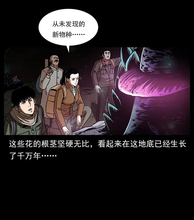 322 生死罗布泊33