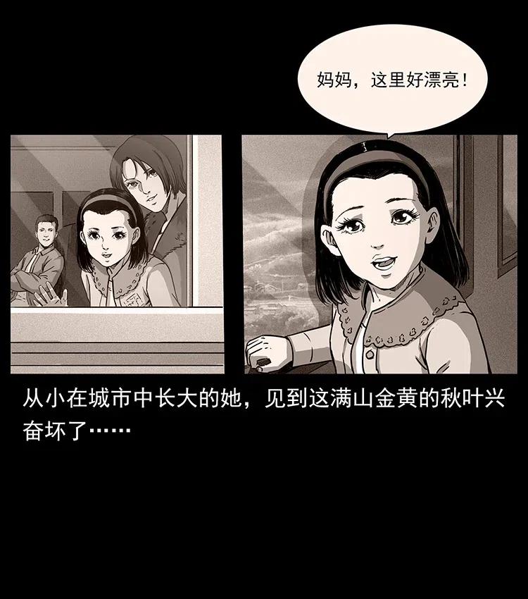 311 一窝生几个？43