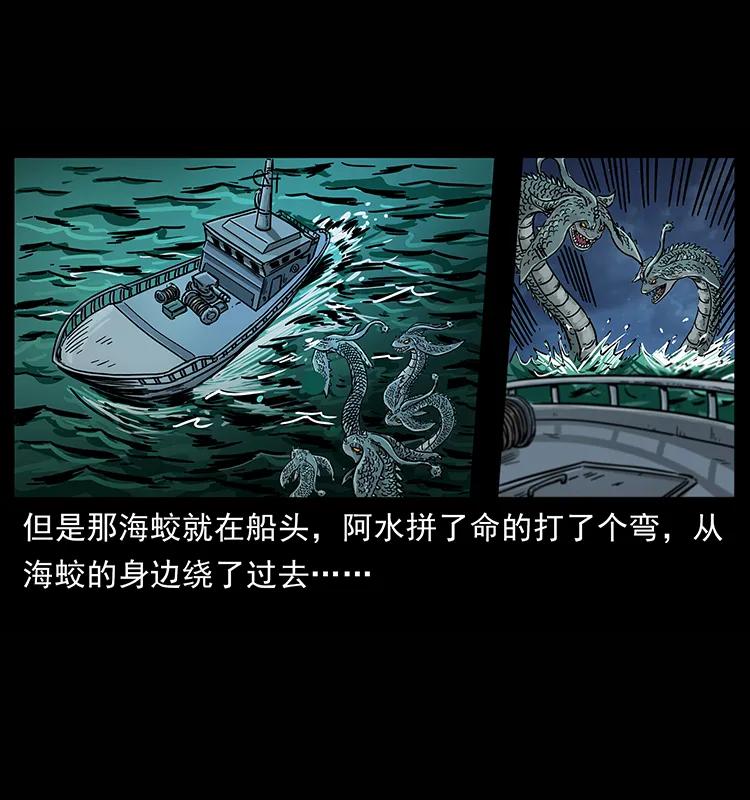 241 斗阎王6