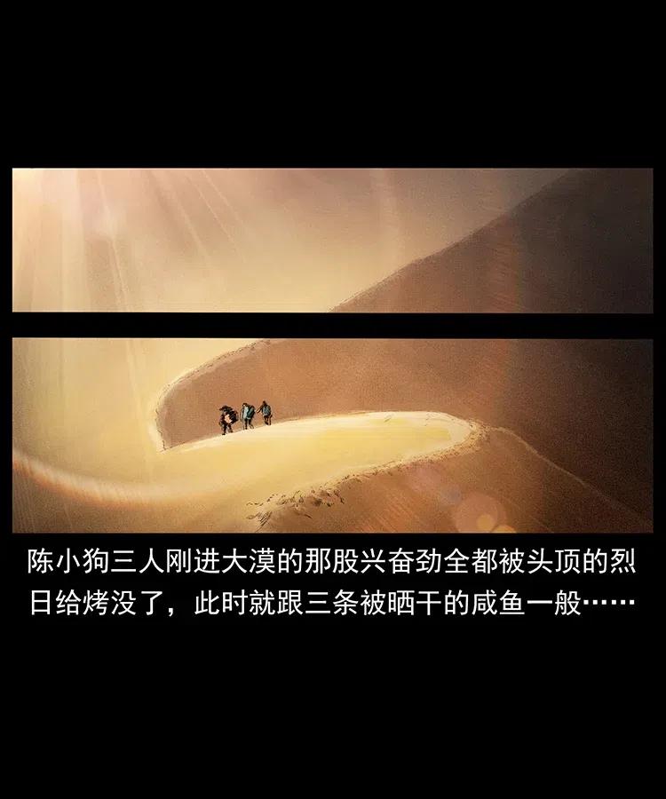 318 沙漠秃鹰1