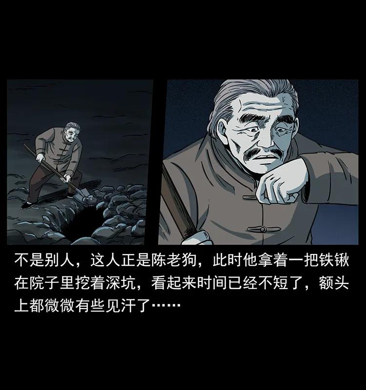 251 刨尸狗遇险2