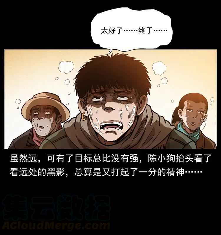 318 沙漠秃鹰8