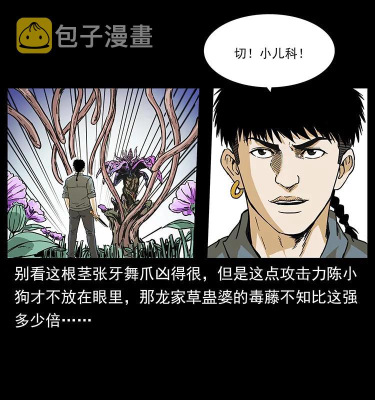 236 神秘的小岛65