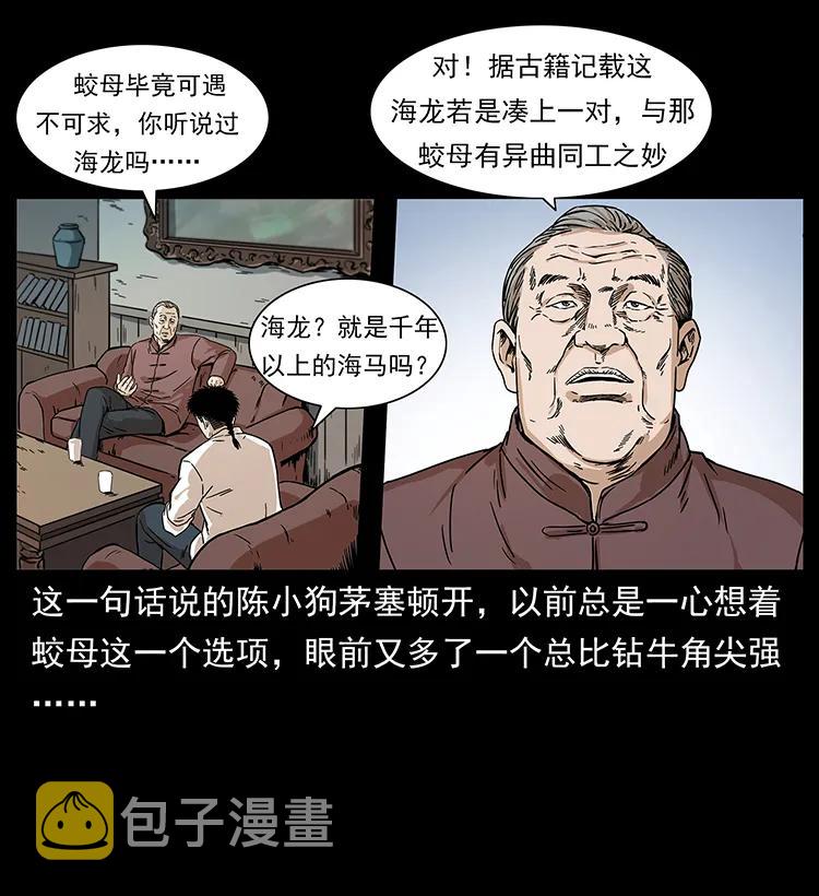 229 东海龙骨49