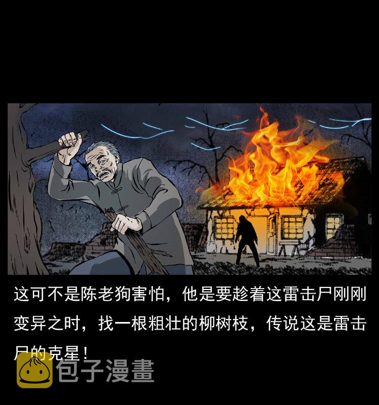 041 雷击尸251