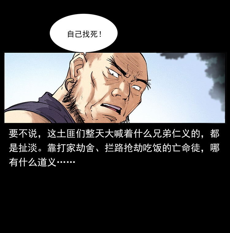 外传 洛生传2 土匪，土匪10