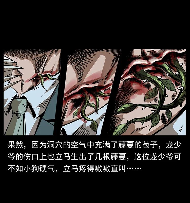 193 草蛊婆10