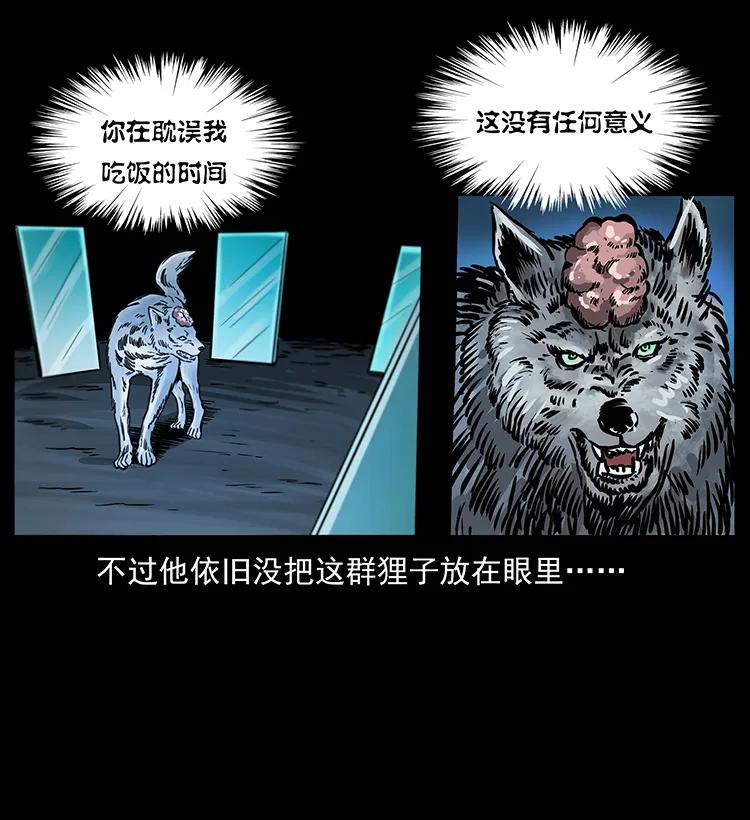 251 刨尸狗遇险74
