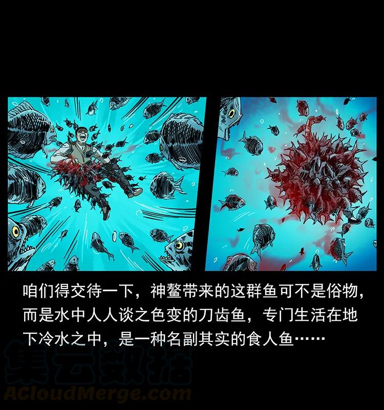204 回家！60