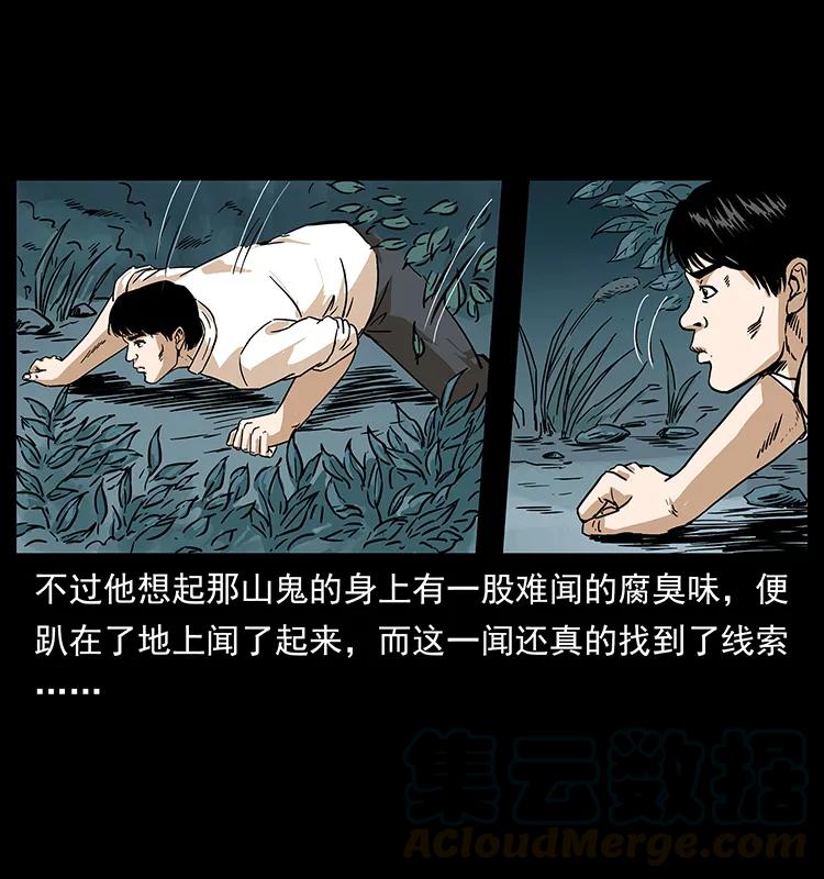 231 东海木龙16