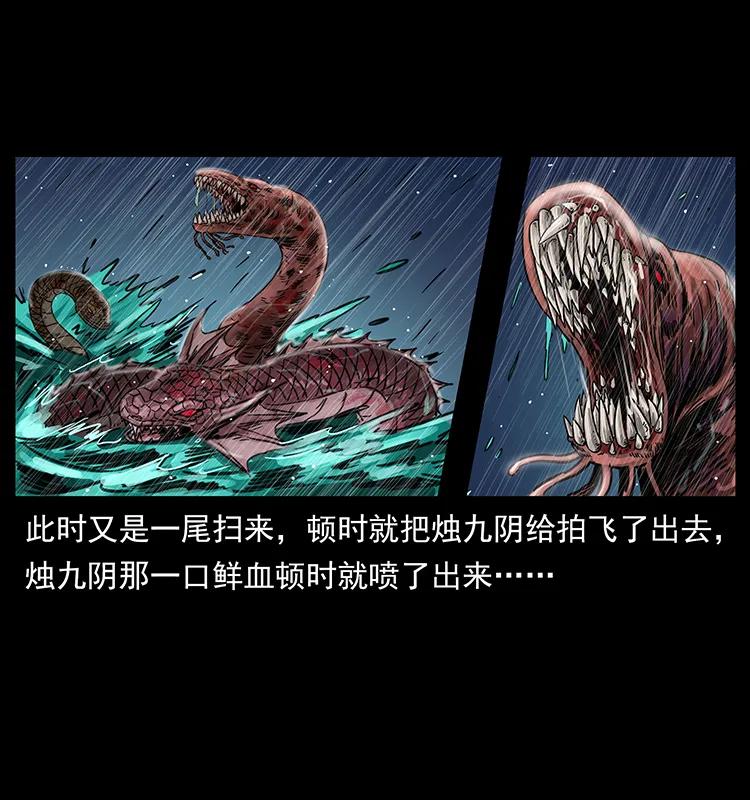 246 海妖30